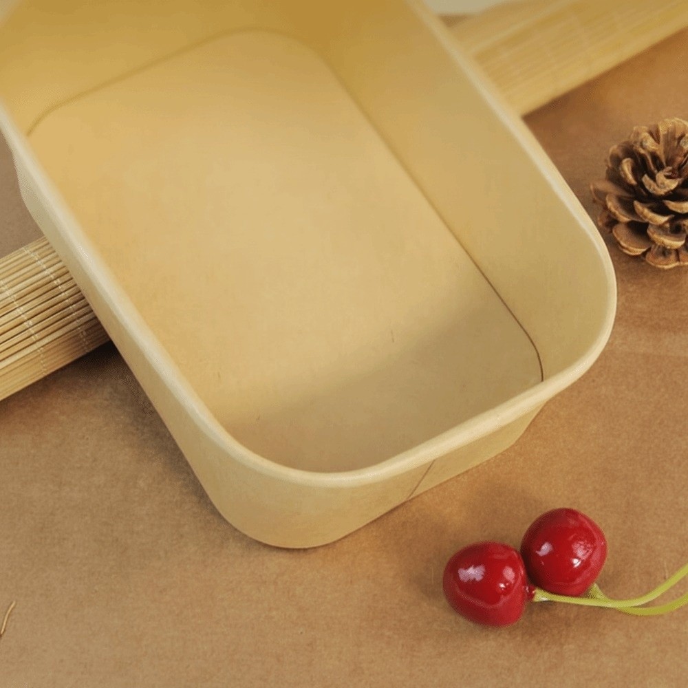 10 Stück/Set Quadratische Einw – Meal Prep Bowl Bewertung und Preis